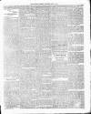 Colonial Guardian (Belize) Saturday 10 May 1884 Page 3