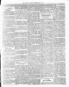 Colonial Guardian (Belize) Saturday 07 June 1884 Page 3