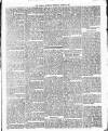 Colonial Guardian (Belize) Saturday 23 August 1884 Page 3