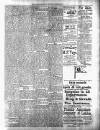 Colonial Guardian (Belize) Saturday 21 March 1891 Page 3