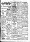 Barbados Agricultural Reporter Tuesday 27 January 1874 Page 3
