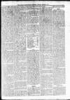 Barbados Agricultural Reporter Tuesday 30 March 1875 Page 3