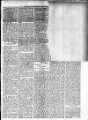 Barbados Agricultural Reporter Friday 25 February 1876 Page 3