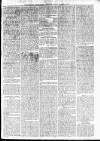 Barbados Agricultural Reporter Friday 30 March 1877 Page 3