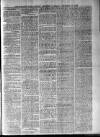 Barbados Agricultural Reporter Tuesday 17 December 1878 Page 3