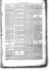 Civil & Military Gazette (Lahore) Friday 09 March 1877 Page 5