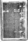 Civil & Military Gazette (Lahore) Thursday 17 January 1878 Page 3