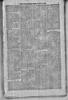 Civil & Military Gazette (Lahore) Friday 01 August 1879 Page 7