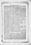 Civil & Military Gazette (Lahore) Thursday 02 March 1882 Page 3