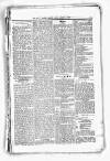 Civil & Military Gazette (Lahore) Friday 03 January 1890 Page 5