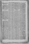 Civil & Military Gazette (Lahore) Friday 03 January 1896 Page 5