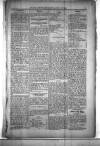 Civil & Military Gazette (Lahore) Sunday 29 January 1899 Page 5