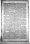 Civil & Military Gazette (Lahore) Sunday 29 January 1899 Page 7