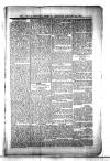 Civil & Military Gazette (Lahore) Thursday 10 January 1901 Page 7