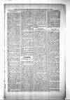 Civil & Military Gazette (Lahore) Sunday 03 January 1904 Page 7