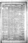 Civil & Military Gazette (Lahore) Tuesday 05 January 1904 Page 5