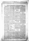 Civil & Military Gazette (Lahore) Sunday 24 January 1904 Page 8