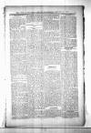 Civil & Military Gazette (Lahore) Wednesday 27 January 1904 Page 7