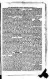 Civil & Military Gazette (Lahore) Saturday 23 January 1909 Page 5