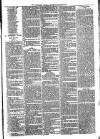 Newmarket Journal Saturday 06 January 1883 Page 3