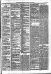 Newmarket Journal Saturday 10 March 1883 Page 7