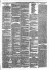 Newmarket Journal Saturday 24 November 1883 Page 3
