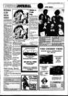 Newmarket Journal Thursday 23 December 1982 Page 11