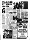 Newmarket Journal Thursday 17 February 1983 Page 13