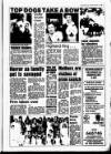 Newmarket Journal Thursday 15 February 1990 Page 7