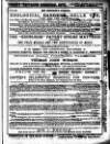 Ben Brierley's Journal Saturday 26 July 1879 Page 3
