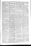 American Settler Saturday 10 July 1880 Page 3