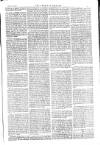 American Settler Saturday 17 July 1880 Page 5