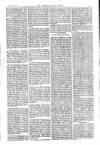 American Settler Saturday 31 July 1880 Page 5