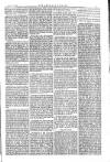 American Settler Saturday 14 August 1880 Page 5