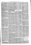 American Settler Saturday 11 September 1880 Page 5