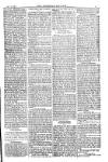 American Settler Saturday 18 September 1880 Page 3