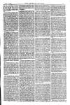 American Settler Saturday 18 September 1880 Page 5
