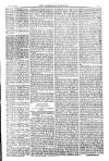 American Settler Saturday 02 October 1880 Page 3