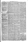 American Settler Saturday 16 October 1880 Page 3