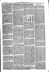 American Settler Saturday 16 October 1880 Page 5