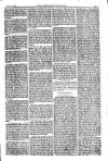 American Settler Saturday 30 October 1880 Page 5