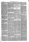 American Settler Saturday 06 November 1880 Page 5