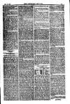 American Settler Saturday 13 November 1880 Page 3