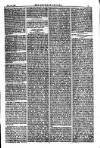 American Settler Saturday 13 November 1880 Page 5