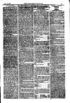 American Settler Saturday 13 November 1880 Page 7