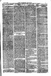 American Settler Saturday 20 November 1880 Page 7