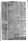 American Settler Saturday 27 November 1880 Page 3