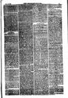 American Settler Saturday 11 December 1880 Page 3