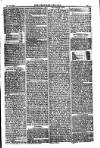 American Settler Saturday 18 December 1880 Page 3