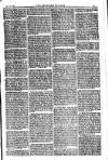 American Settler Saturday 18 December 1880 Page 5
